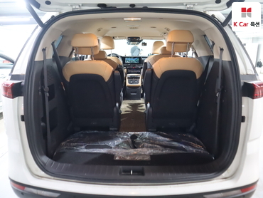 2021 - kia carnival