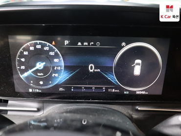 2021 - kia carnival