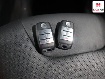 2019 - kia niro