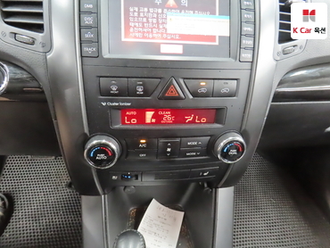 2010 - kia sorento