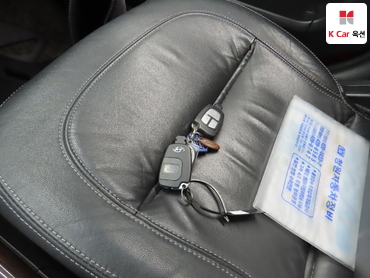 2009 - hyundai grandeur