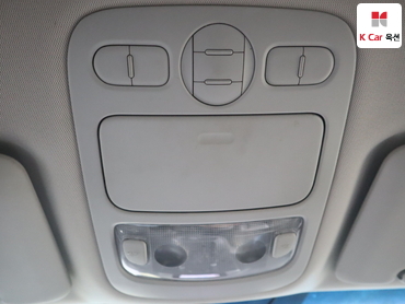 2010 - kia carnival