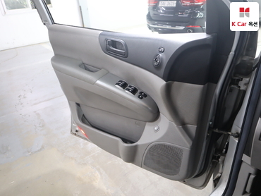 2010 - kia carnival