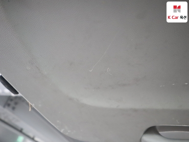 2010 - kia carnival