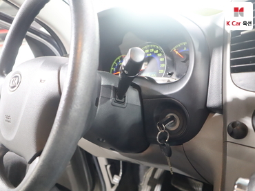 2010 - kia carnival
