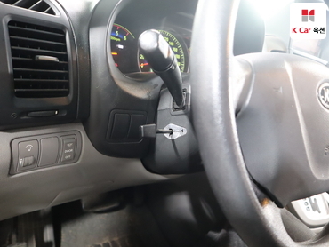 2010 - kia carnival