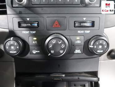 2010 - kia carnival