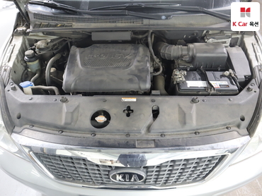 2010 - kia carnival