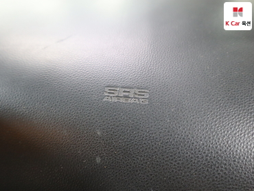 2010 - kia carnival