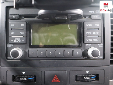 2010 - kia carnival