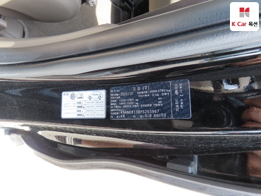 2023 - kia carnival