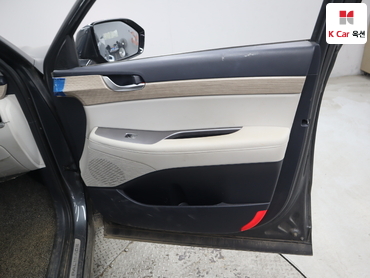 2021 - hyundai palisade