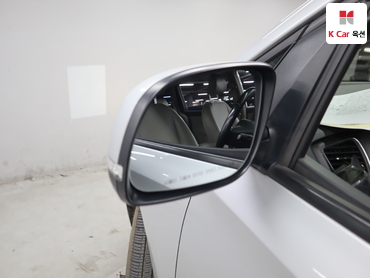 2019 - kia carnival