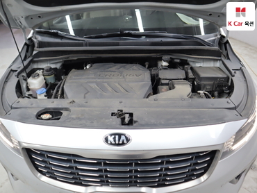 2019 - kia carnival
