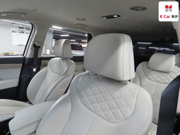 2019 - hyundai palisade