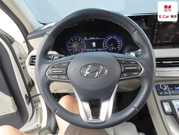 2019 - hyundai palisade