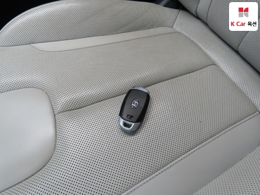 2019 - hyundai palisade