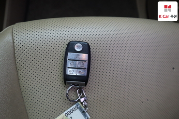 2018 - kia carnival