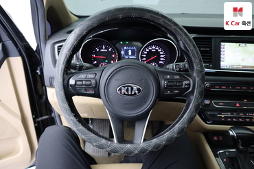 2018 - kia carnival