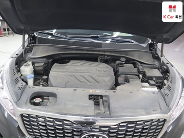 2019 - kia sorento