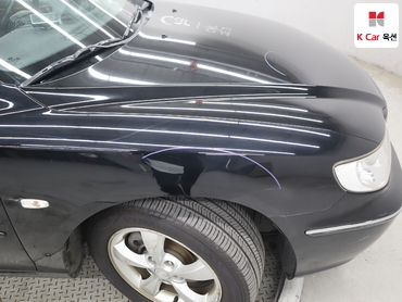 2006 - hyundai grandeur