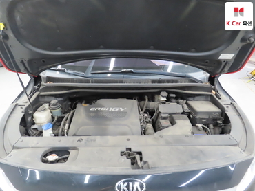 2018 - kia carnival