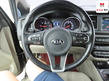 2018 - kia carnival