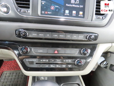 2018 - kia carnival