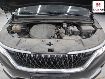 2021 - kia carnival