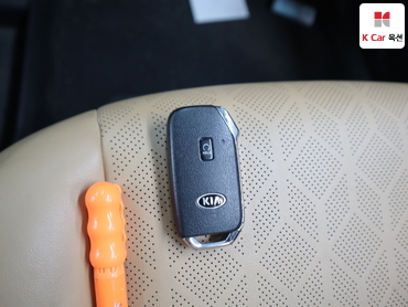 2021 - kia carnival