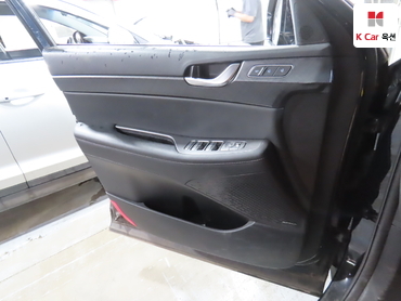 2019 - hyundai palisade
