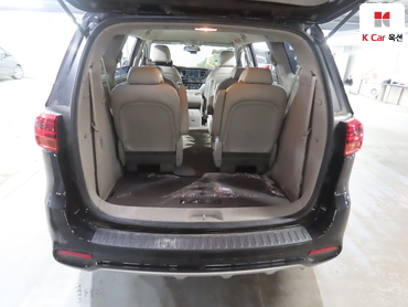 2019 - kia carnival