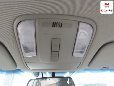 2019 - kia carnival