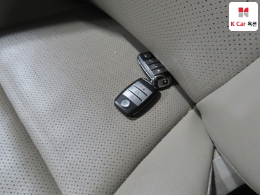 2019 - kia carnival