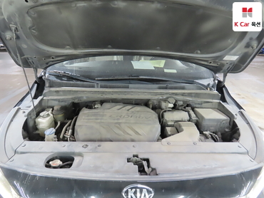 2019 - kia carnival