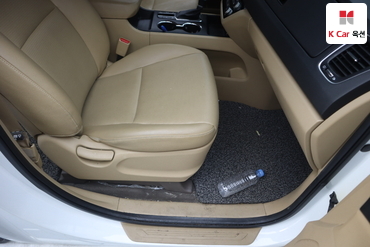 2019 - kia carnival