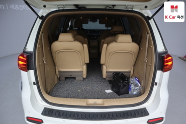 2019 - kia carnival