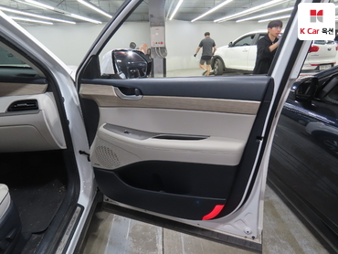 2020 - hyundai palisade