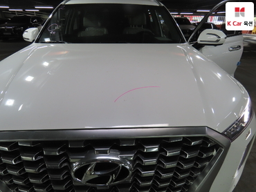 2020 - hyundai palisade
