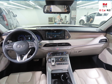 2020 - hyundai palisade