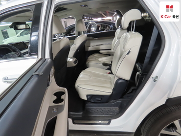 2020 - hyundai palisade