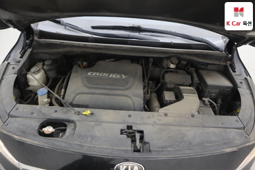 2016 - kia carnival