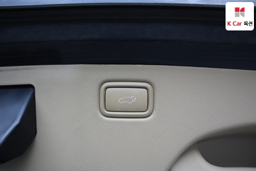 2016 - kia carnival
