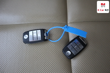 2016 - kia carnival