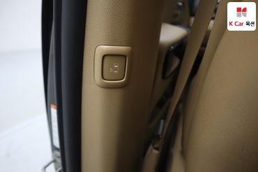 2016 - kia carnival