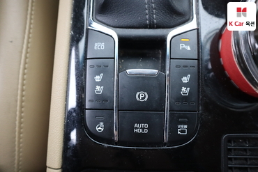 2019 - kia carnival