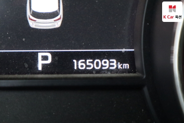 2019 - kia carnival