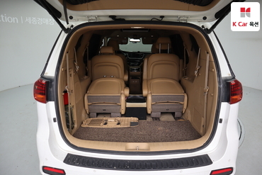 2019 - kia carnival