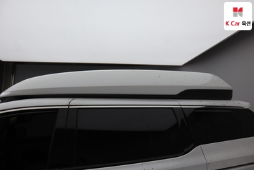2019 - kia carnival