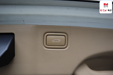 2019 - kia carnival